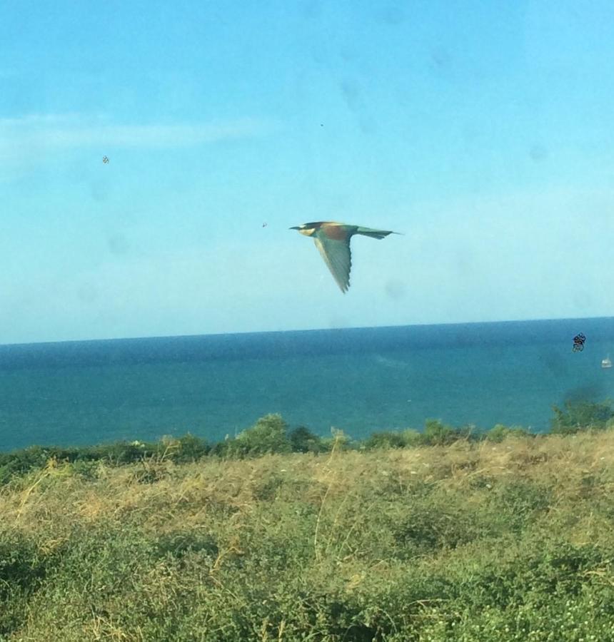 Agriturismo La Costa Dei Trabocchi Торино-ди-Сангро Экстерьер фото